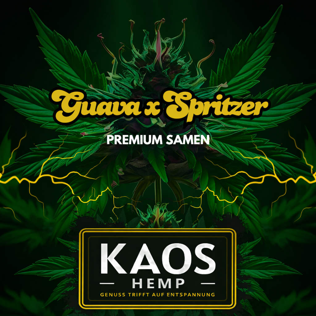 kaos_guava_spritzer_1000x1000