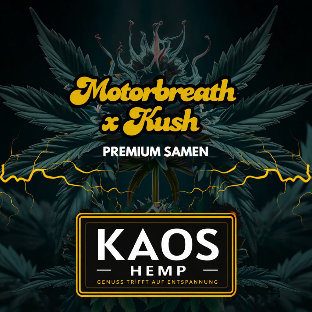 kaos_motorbreath_kush_1000x1000