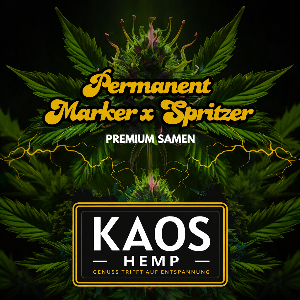 kaos_permanent_marker_x_spritzer_1000x1000